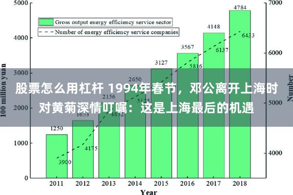 股票怎么用杠杆 1994年春节，邓公离开上海时对黄菊深情叮嘱：这是上海最后的机遇