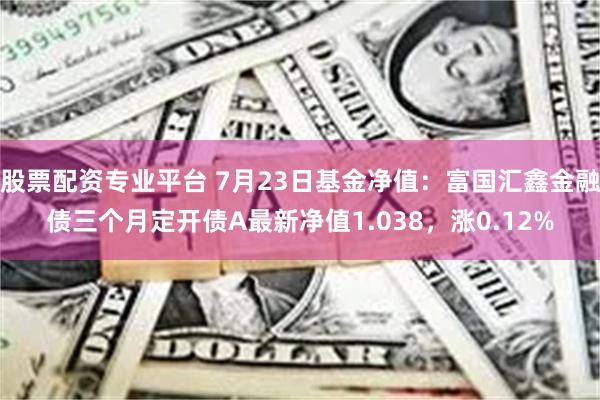 股票配资专业平台 7月23日基金净值：富国汇鑫金融债三个月定开债A最新净值1.038，涨0.12%