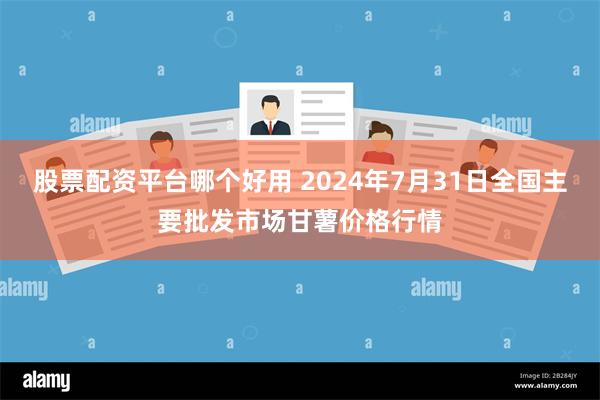 股票配资平台哪个好用 2024年7月31日全国主要批发市场甘薯价格行情