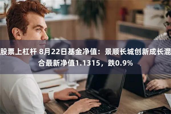 股票上杠杆 8月22日基金净值：景顺长城创新成长混合最新净值1.1315，跌0.9%