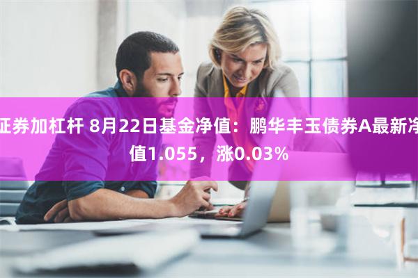 证券加杠杆 8月22日基金净值：鹏华丰玉债券A最新净值1.055，涨0.03%