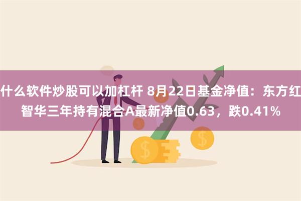 什么软件炒股可以加杠杆 8月22日基金净值：东方红智华三年持有混合A最新净值0.63，跌0.41%