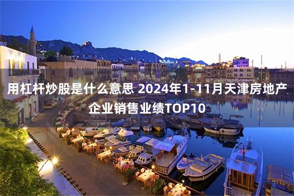 用杠杆炒股是什么意思 2024年1-11月天津房地产企业销售业绩TOP10