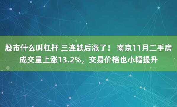 股市什么叫杠杆 三连跌后涨了！ 南京11月二手房成交量上涨13.2%，交易价格也小幅提升