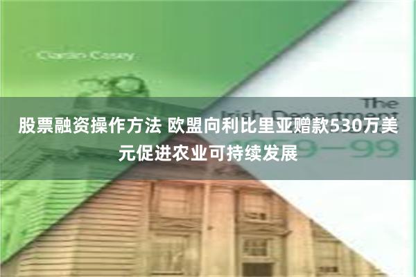 股票融资操作方法 欧盟向利比里亚赠款530万美元促进农业可持续发展