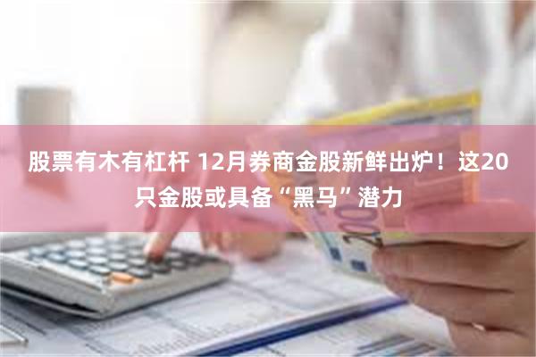 股票有木有杠杆 12月券商金股新鲜出炉！这20只金股或具备“黑马”潜力