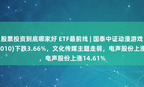 股票投资到底哪家好 ETF最前线 | 国泰中证动漫游戏ETF(516010)下跌3.66%，文化传媒主题走弱，电声股份上涨14.61%