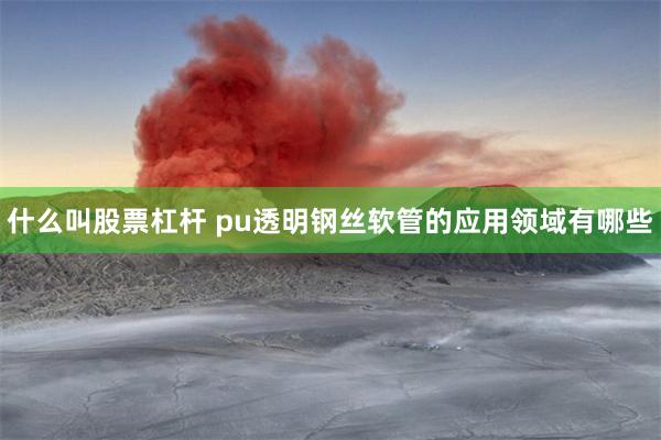 什么叫股票杠杆 pu透明钢丝软管的应用领域有哪些