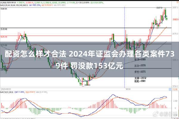 配资怎么样才合法 2024年证监会办理各类案件739件 罚没款153亿元