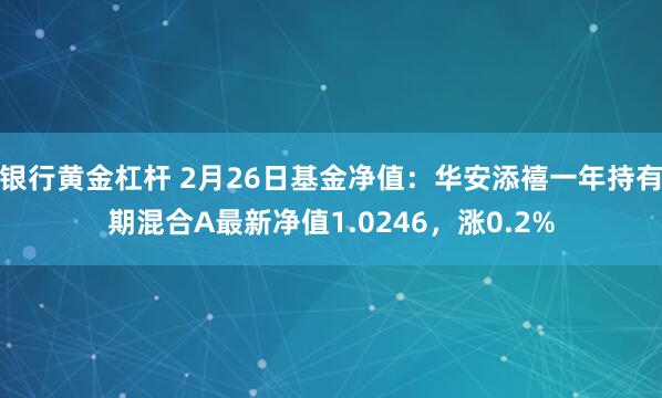 银行黄金杠杆 2月26日基金净值：华安添禧一年持有期混合A最新净值1.0246，涨0.2%